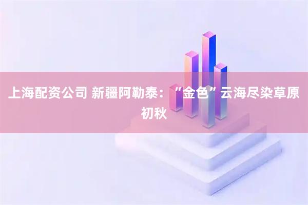 上海配资公司 新疆阿勒泰：“金色”云海尽染草原初秋
